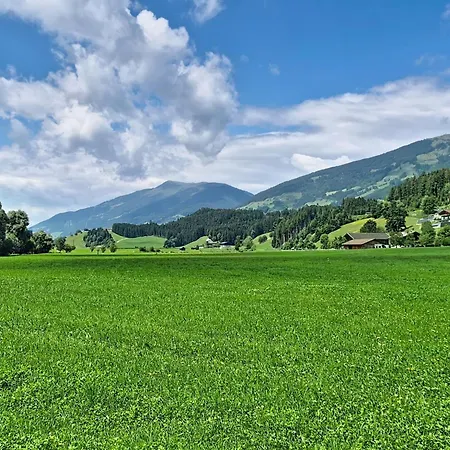 Apartament Weberbauer-1 By Interhome Hollersbach im Pinzgau